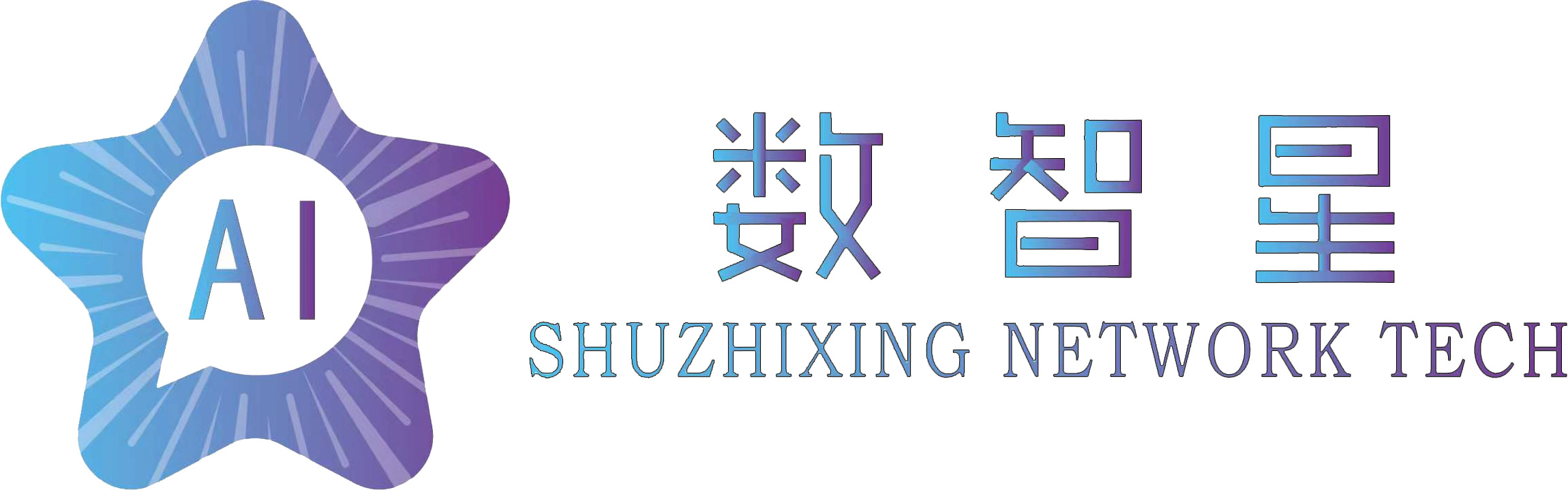 连云港数智星网络科技有限公司